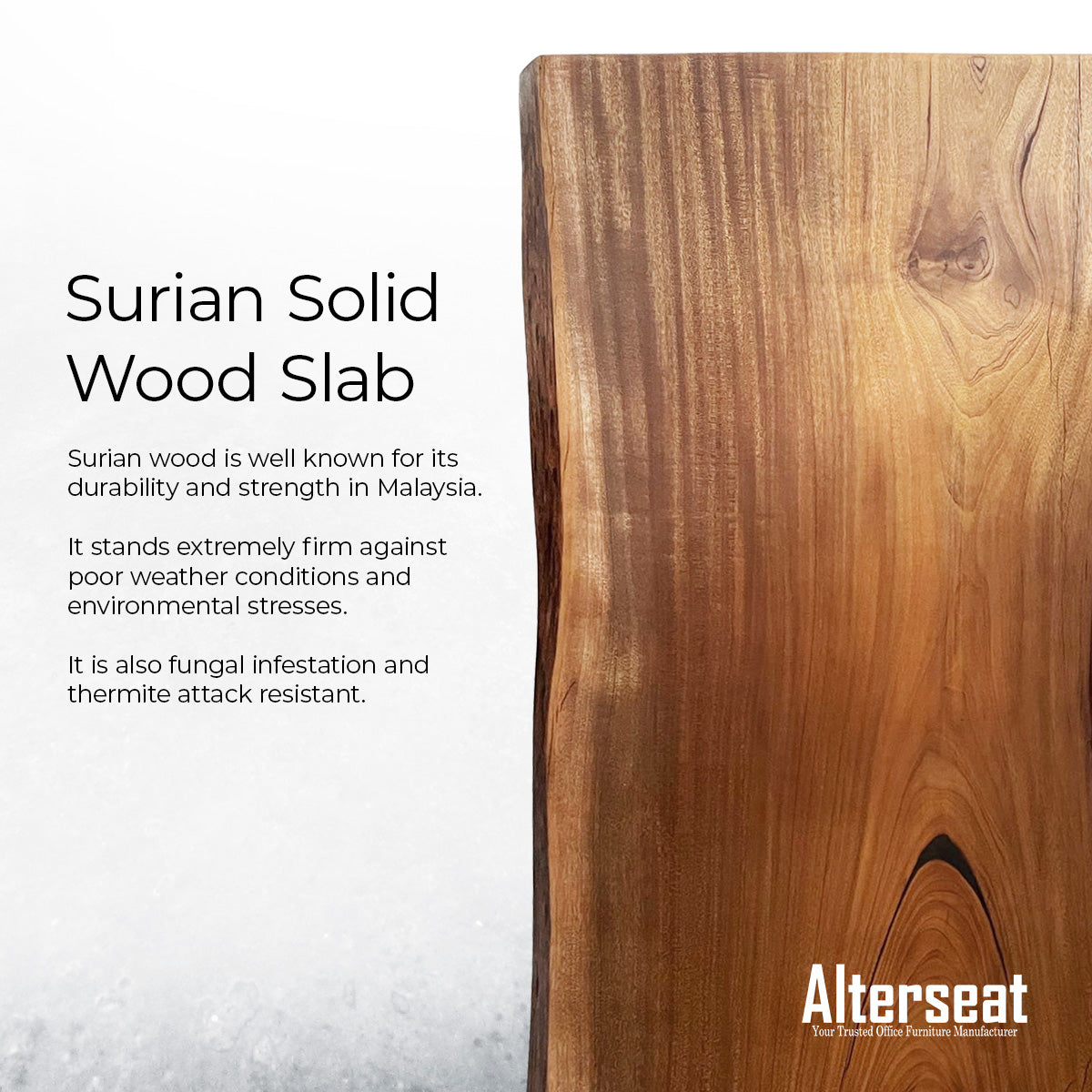 Solid Wood (Surian Woodslab) Smart Desk