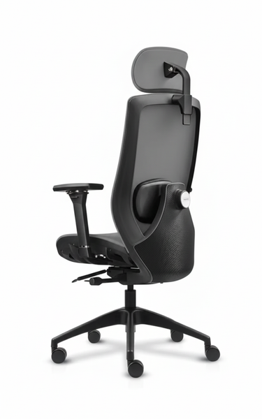LEiRA Ergonomic Chair