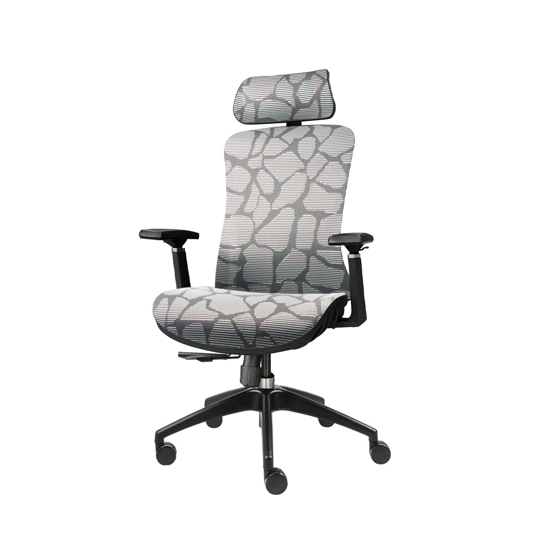 LEiRA Ergonomic Chair