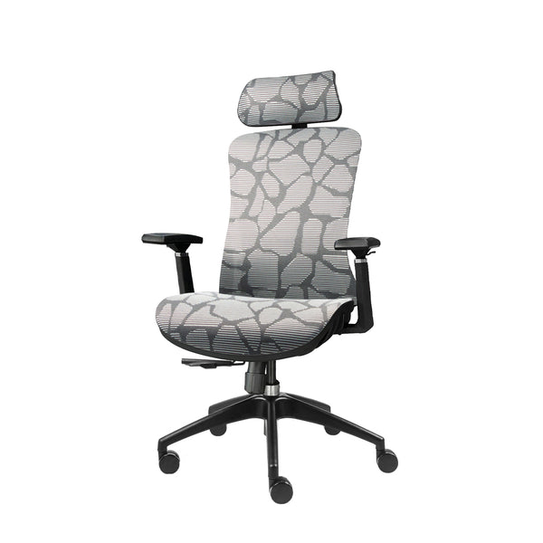 LEiRA Ergonomic Chair