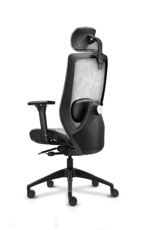LEiRA Ergonomic Chair