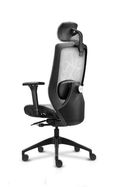 LEiRA Ergonomic Chair
