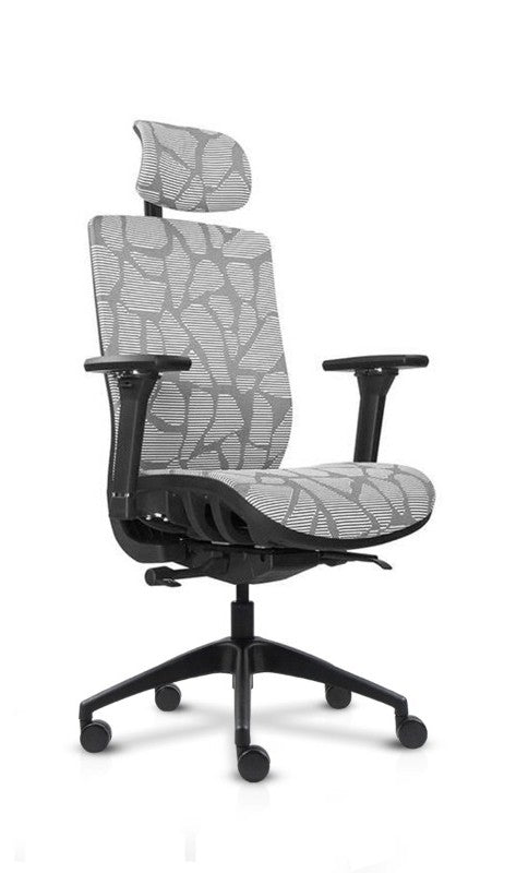 LEiRA Ergonomic Chair